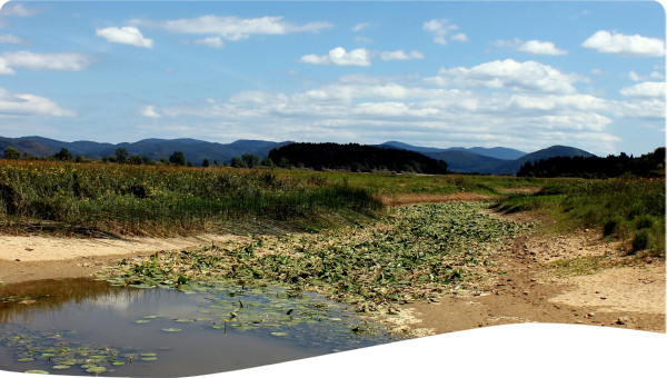 Climate change policies