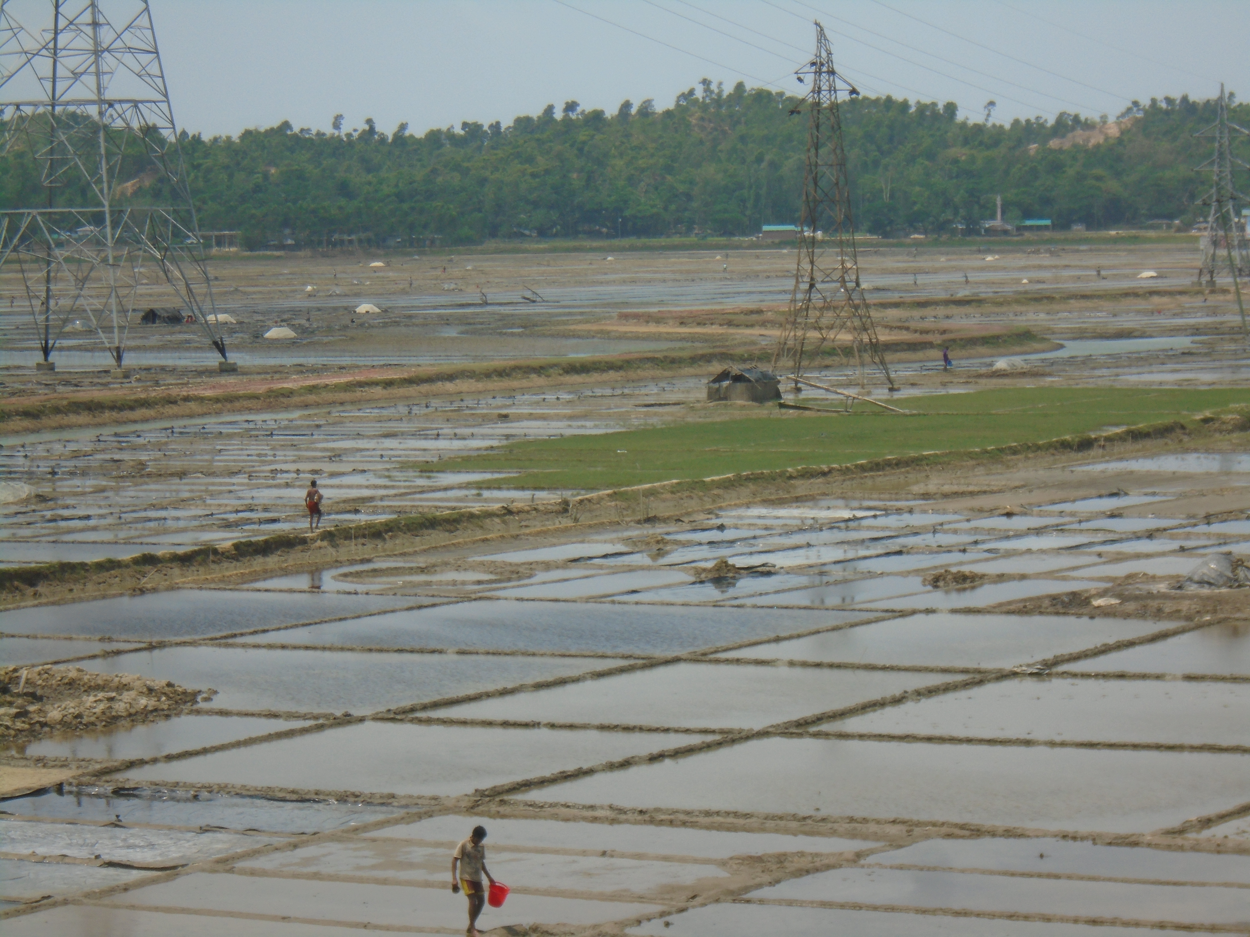 Basin management plans