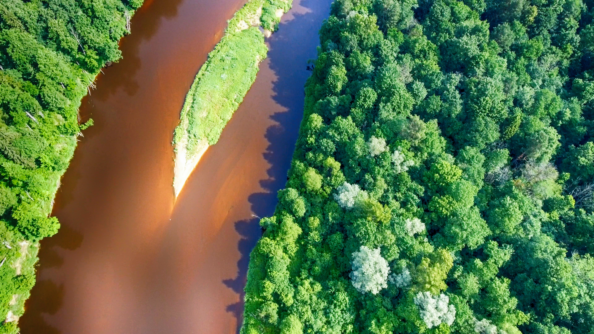 Transboundary Diagnostic Analysis