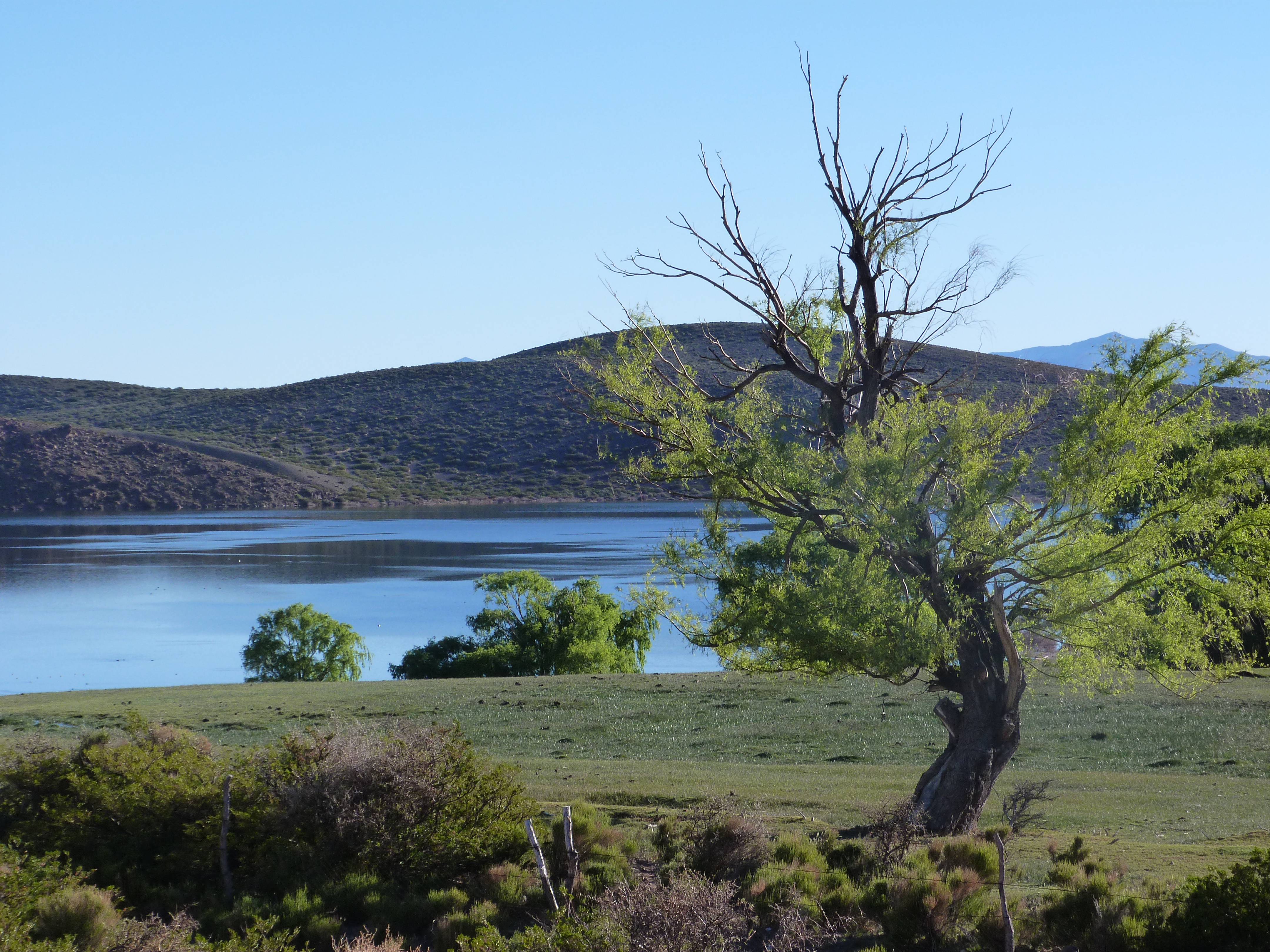 Payments for ecosystem services