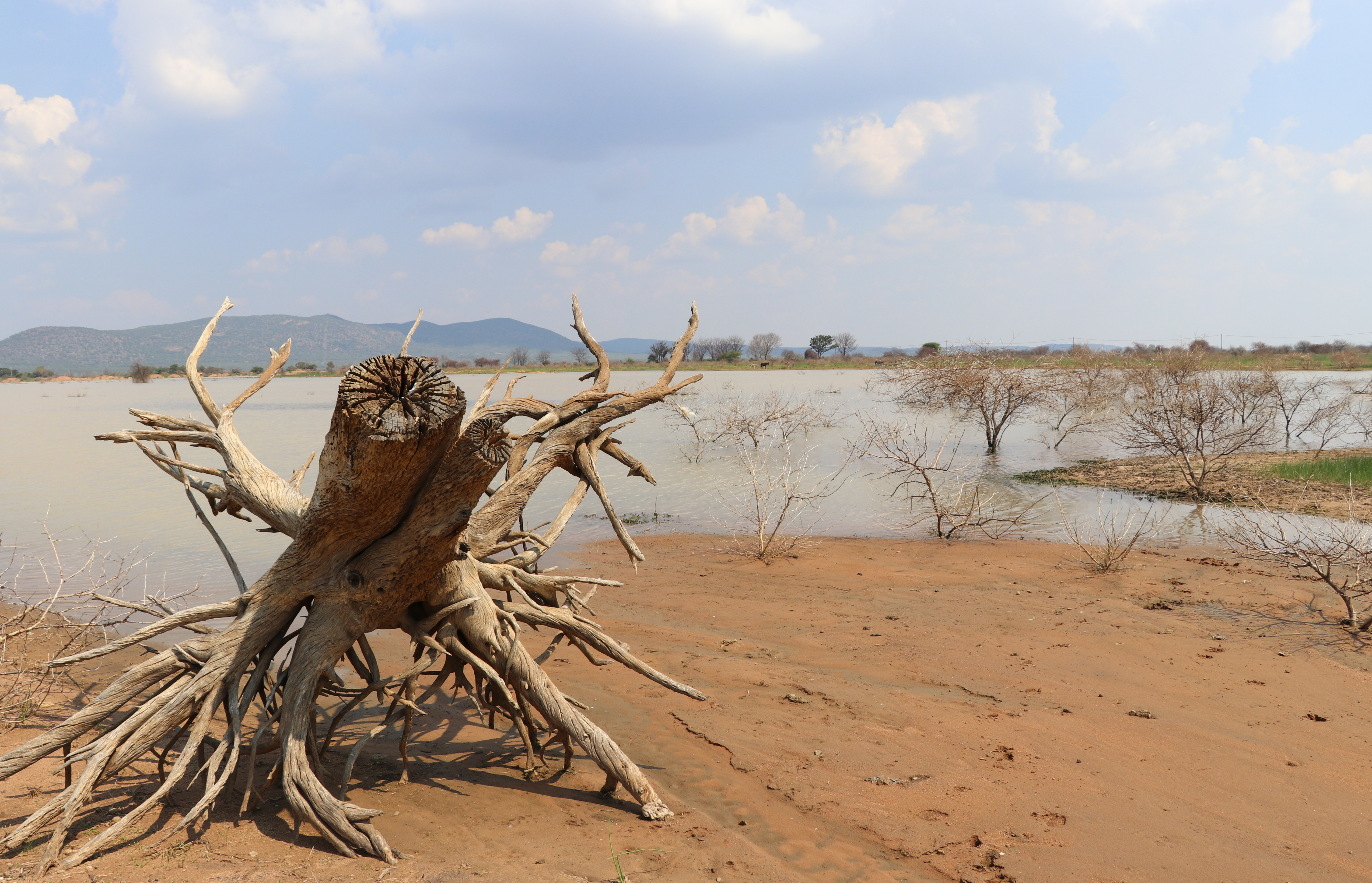 Water-Related Financial Disclosures