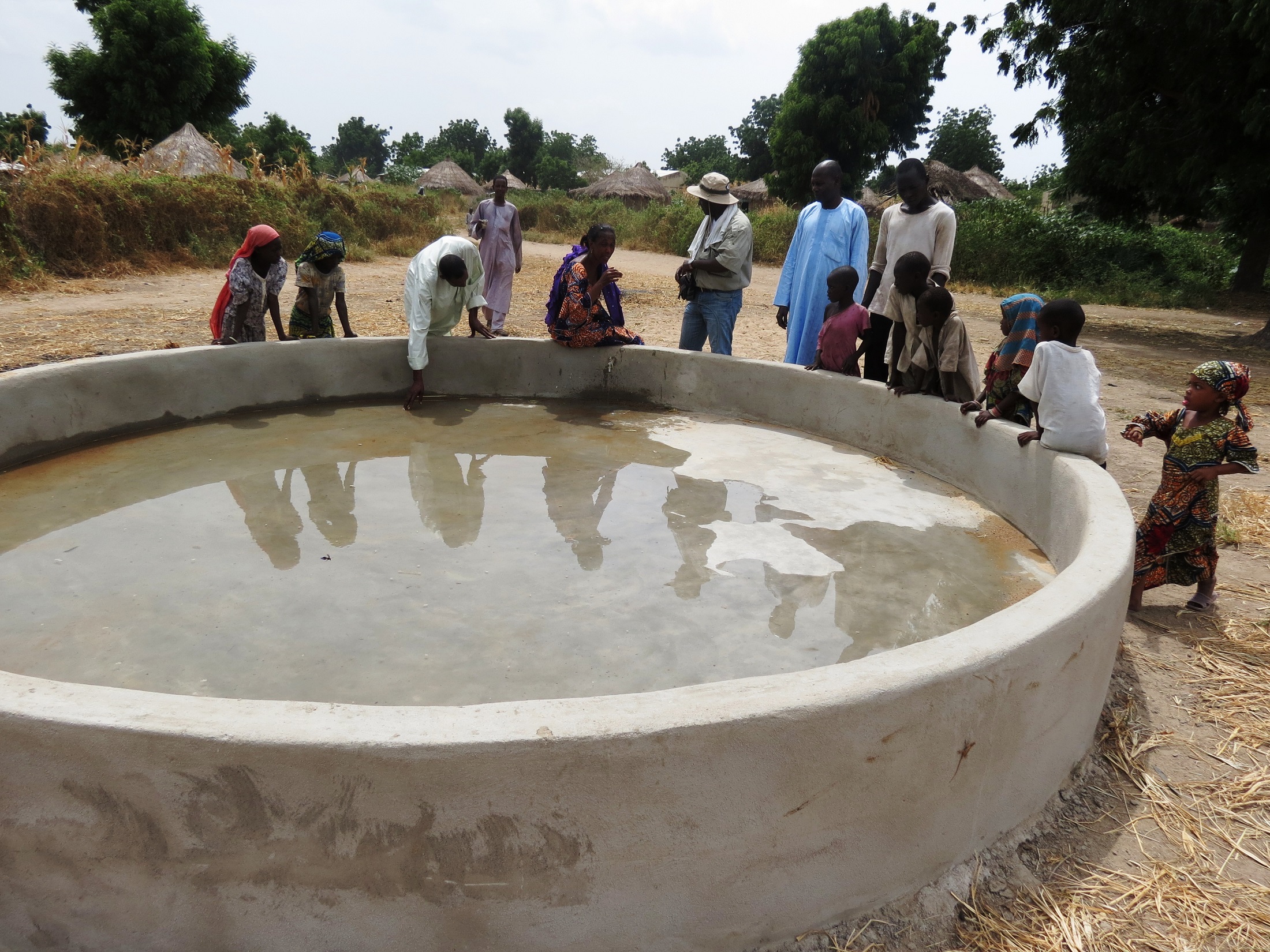 Monitoring and Evaluation Bodies