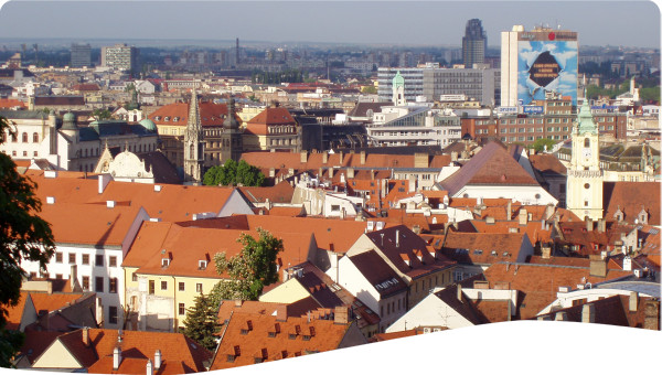 National apex bodies