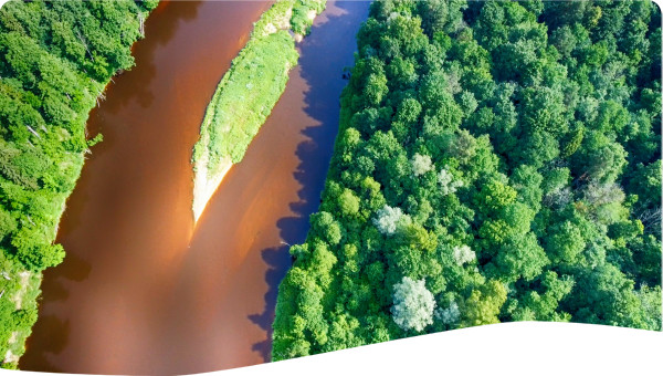 Transboundary Diagnostic Analysis