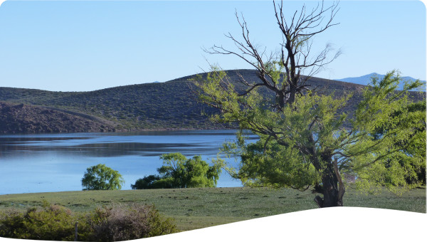 Payments for ecosystem services