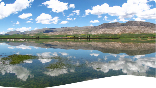 Generating basic revenues for water