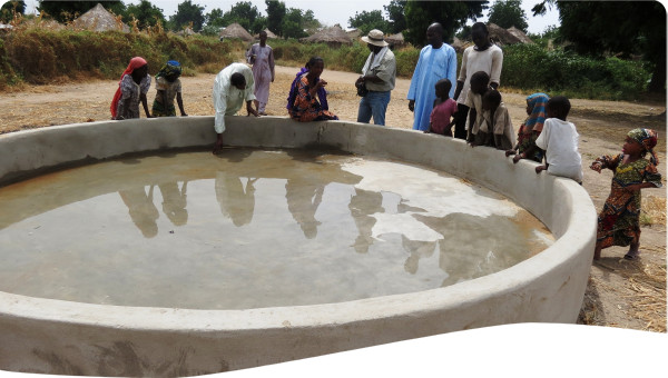 Monitoring and Evaluation Bodies