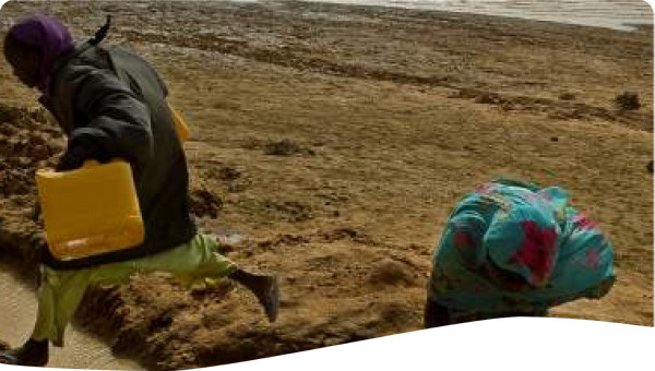 Transboundary: Reversal of land and water degradation in Lake Chad