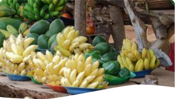 Uganda: Output-based contracts in small towns water supply: challenges and opportunities