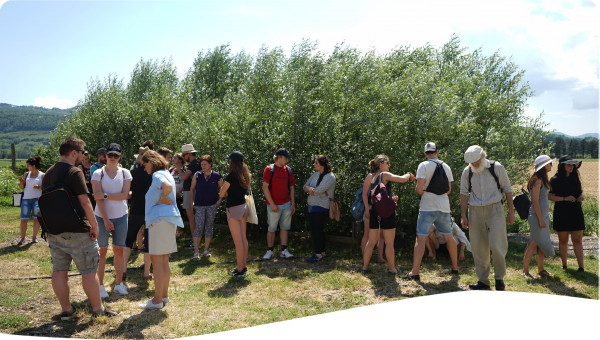 Bulgaria: Constructed Wetlands, Sustainable Wastewater Treatment for Rural and Peri-Urban Communities