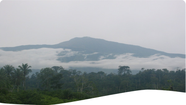 Cameroon: Partnerships for Africa's Water Development: Planning for IWRM and Development