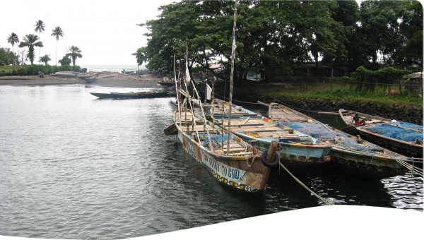 Cameroon: Preparing National Adaptation Plan for Climate Change and its Investment Strategy