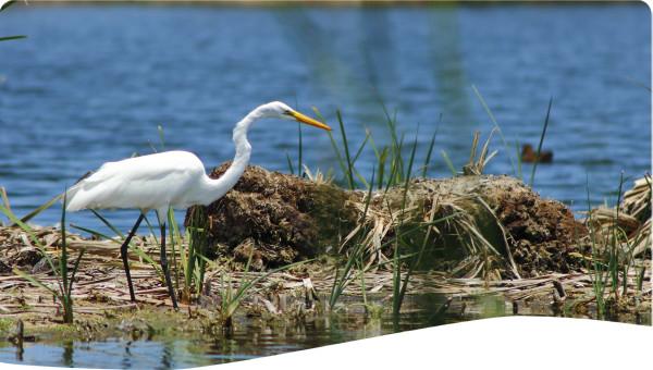 Chile: Integrated strategy for the recovery of water resources of Talcahuano