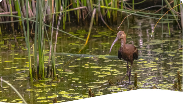 China: Integrated ecosystem management in Upper Yangtze River Basin
