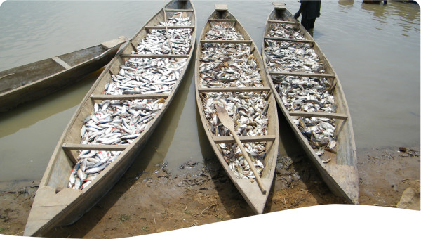 Eritrea: Vital aspects of the Eritrean IWRM planning process