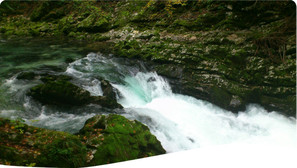 Estonia: Viru and Peipsi Catchment Area Management Plan