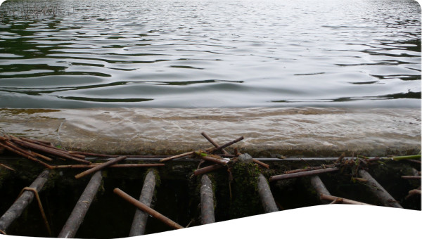 Haiti: The Impacts of the 2010 Earthquake on Water and Sanitation in Port-au-Prince