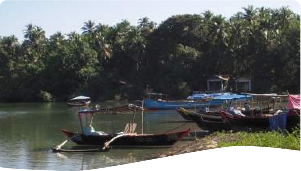 India: A campaign for conservation of water bodies by water user groups