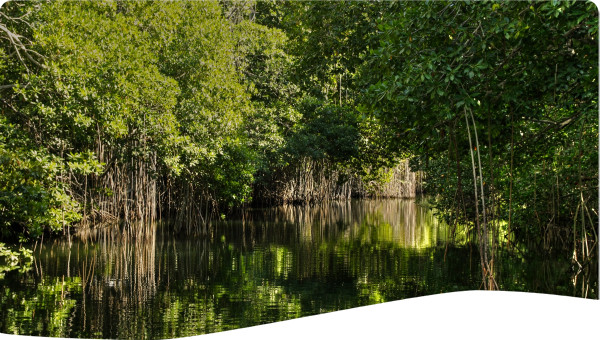 Jamaica Pathway of Jamaica towards IWRM Approach Case Study of the Rio Minho Watershed in Clarendon