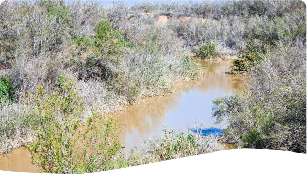 Jordan: From water service provision to planning and management in the Jordan valley authority