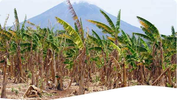 Nicaragua: Management plan for the Cocibolca Great Lake