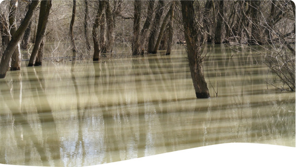 Pakistan: Indus Basin Flood Management