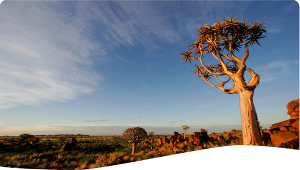 South Africa Innovative Methods in Water Management Decentralisation