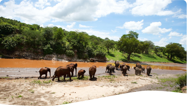 Tanzania: Critical analysis of river basin management in the Great Ruaha