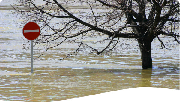 Transboundary: Five countries, one biosphere - managing the floodplain