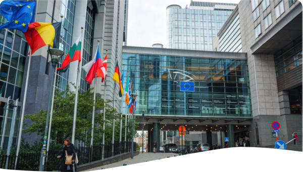 Transboundary: International co-operation in the Scheldt and Meuse River Basins