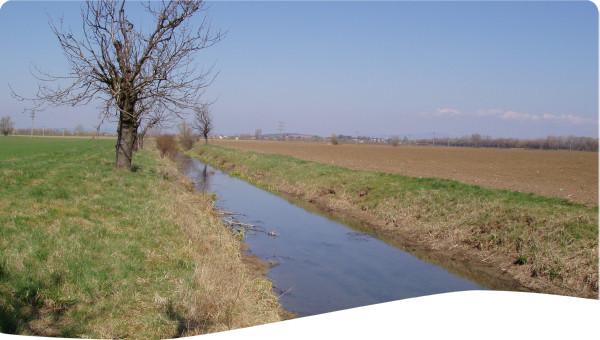 Turkey: Transfer of irrigation management to water users associations