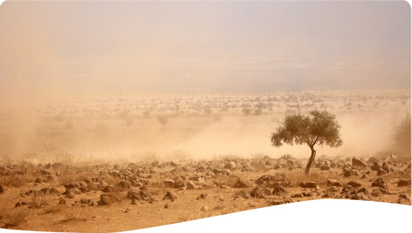 Uganda: Building Drought Resilience Through Land and Water Management Project