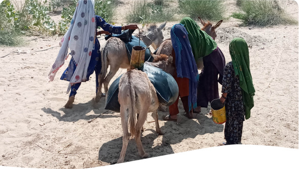 West Africa Roadmaps of Water Management in West Africa