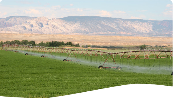 Benelux: Farmer participation in water conservation