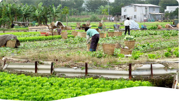 Japan: Tsurumi River Basin Water Master Plan