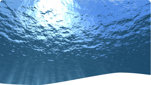 USA: Application of watershed models for integrated water quality and coastal resources restoration in Chesapeak Bay